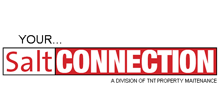 Salt Connection Logo